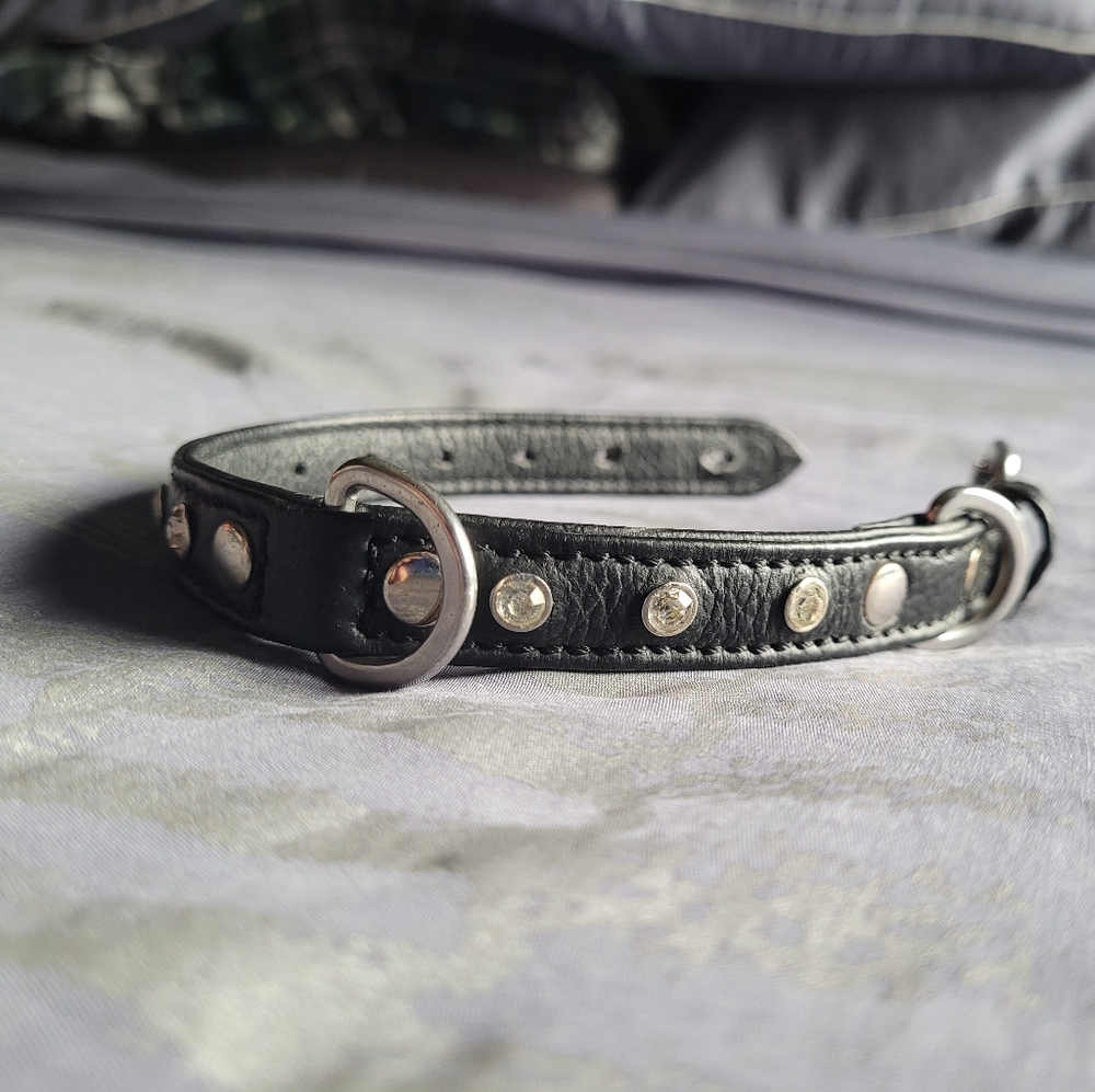 ⭐️Leather Studded Collar⭐️